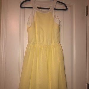 NWT Buttercup Sundress